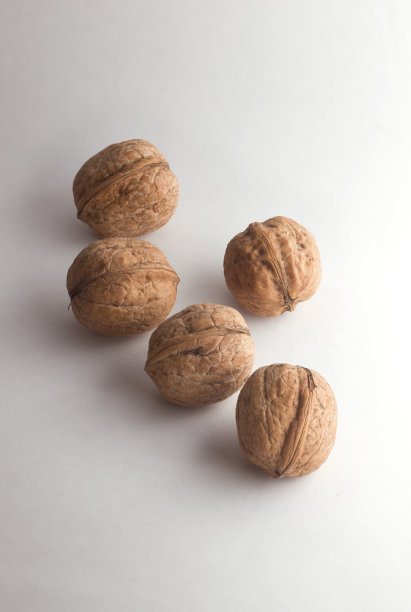 核桃的果实图片下载