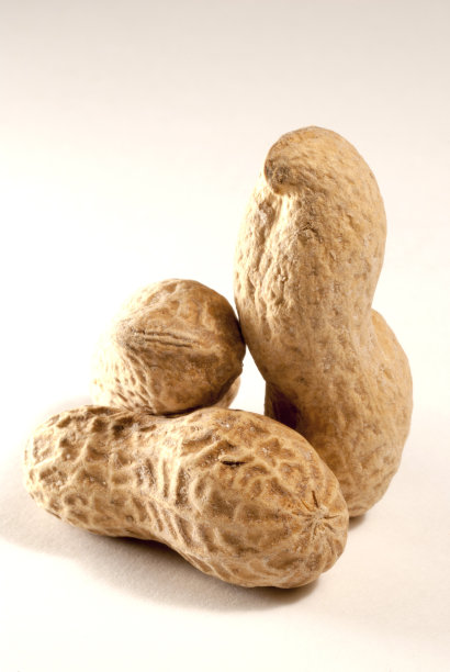 花生干特写图片下载