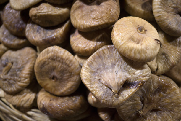 无花果图片下载