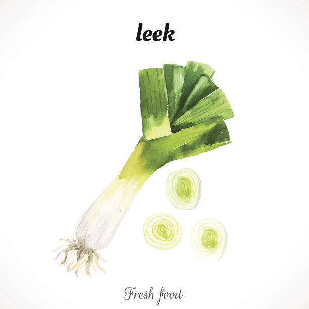 矢量插图与水彩食物。图片下载