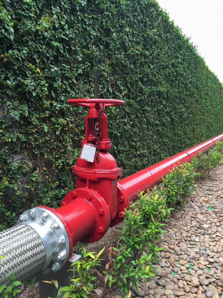 外部消防主机在公园。图片下载