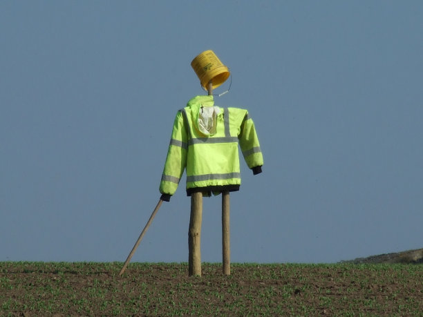 稻草人图片下载