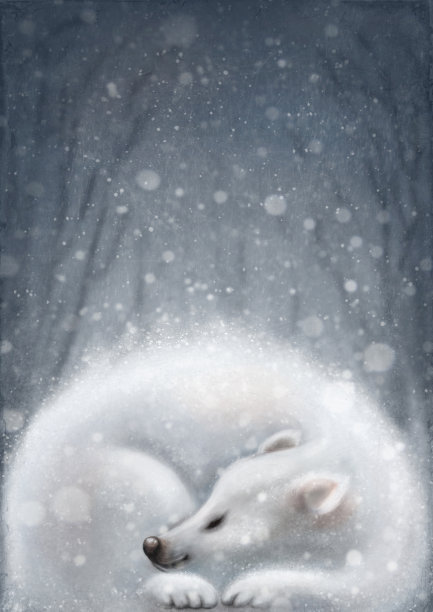 白色的熊睡觉图片下载