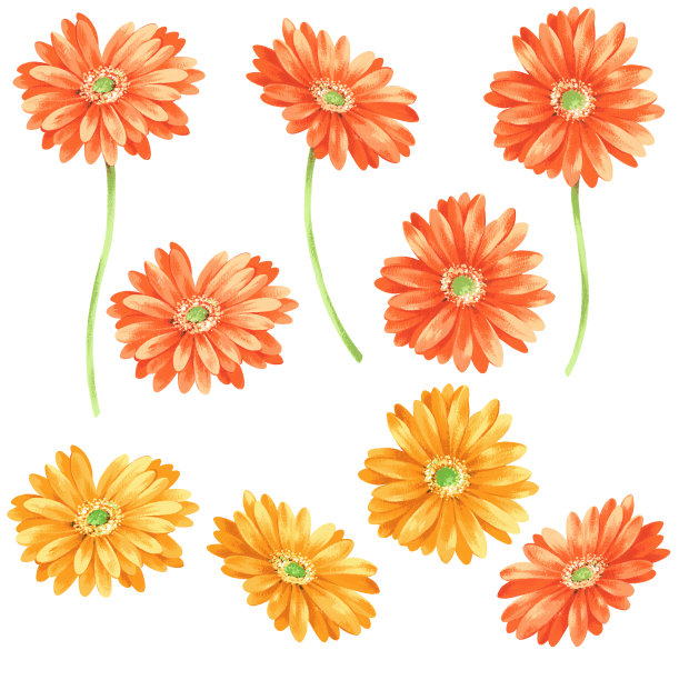 玛格丽特插图图片下载