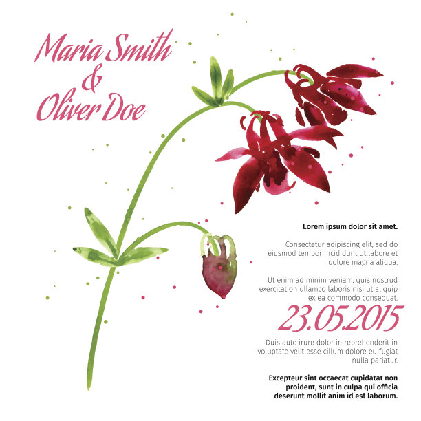 向量背景与aquilegia图片下载