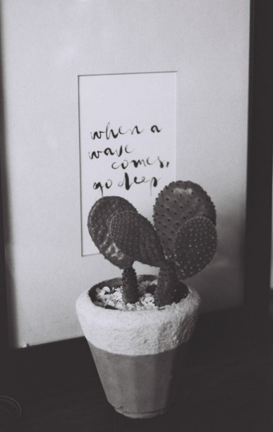 浪来之时，深去图片下载