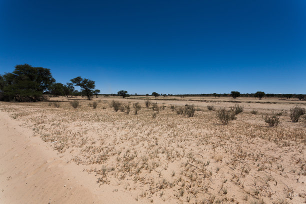 克加拉加迪图片下载