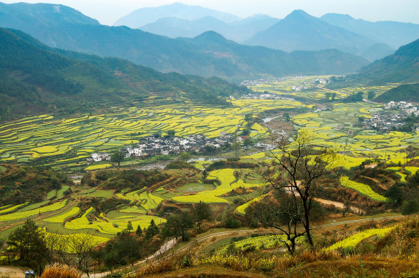 中国婺源县的乡村景观。图片下载