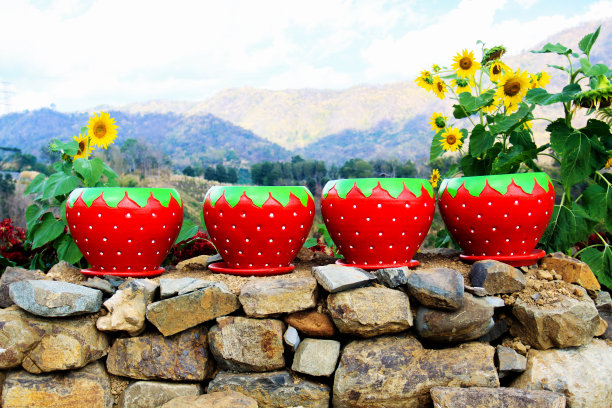 陶罐红草莓图片下载