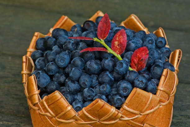 篮子里的蓝莓图片下载