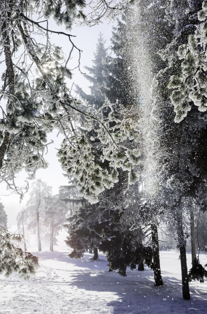 冬天的景色图片下载