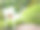 玩具熊在长凳上图片下载