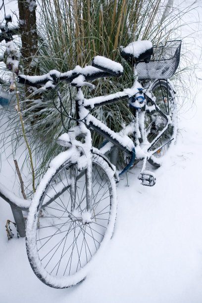 冰雪覆盖的自行车图片下载