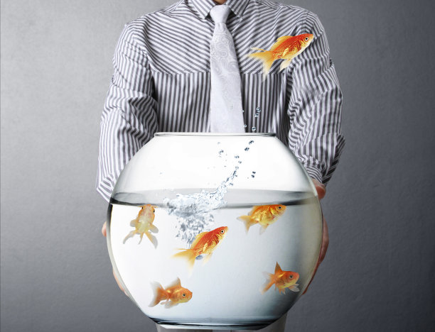 商人和会飞的金鱼图片下载