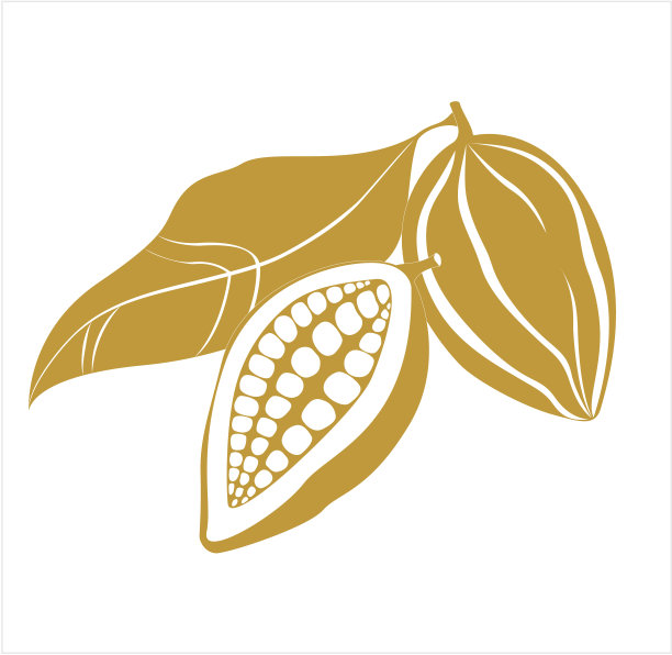 可可豆图标图片下载