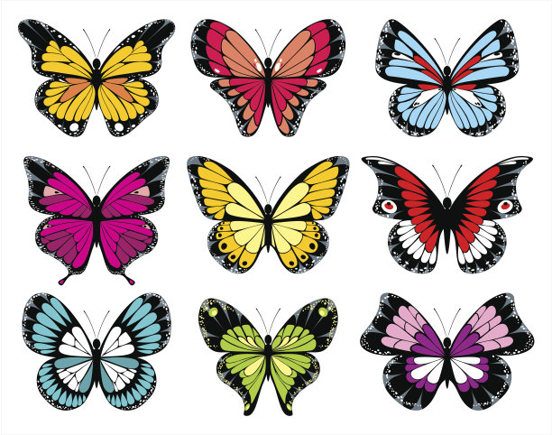 蝴蝶收集图片下载