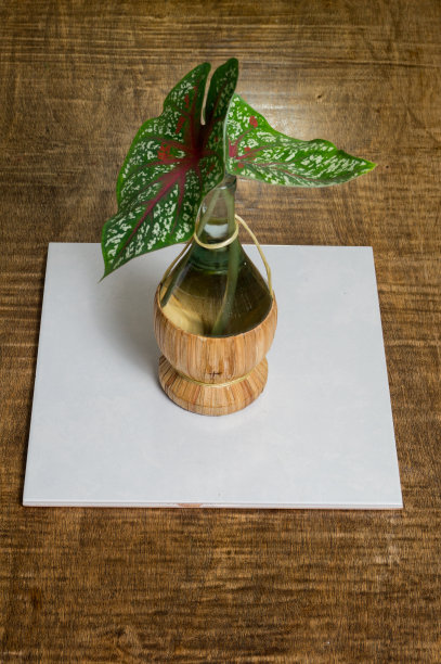 树叶装在瓶子里，用柳条盖在木桌上图片下载