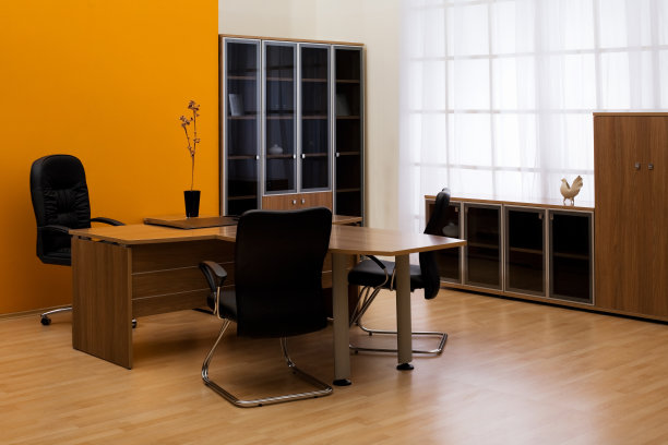 现代办公室的一个业务总监图片下载