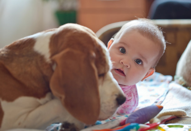 令人惊讶的是图片下载