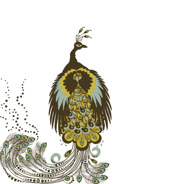 抽象的孔雀图片下载