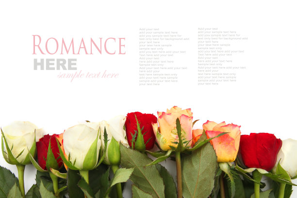 一束混色玫瑰图片下载