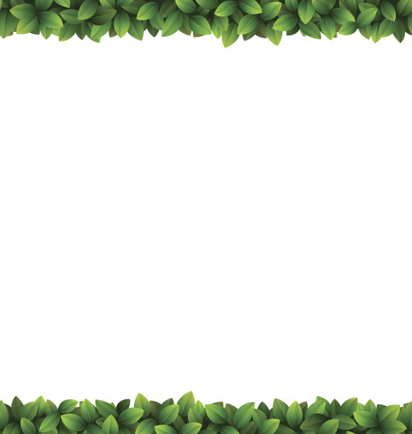 绿叶孤立在白色上图片下载