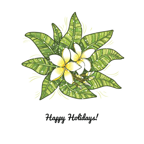 黄色和白色的鸡蛋花祝节日快乐图片下载