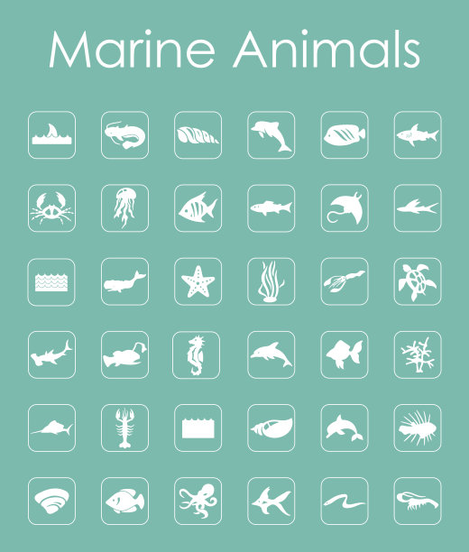 一组海洋动物简单的图标图片下载