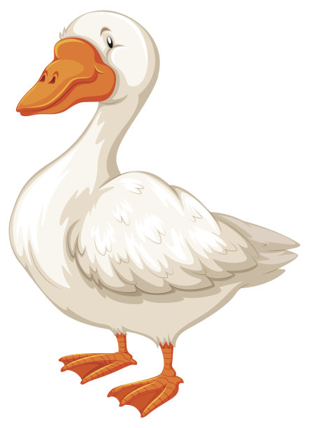 鹅图片下载