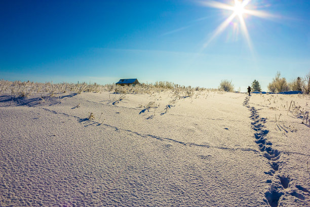 雪地里的脚印图片下载