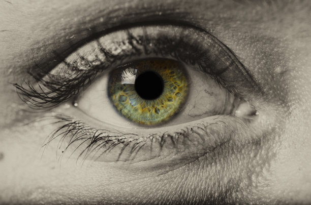 女人绿眼孤立宏图片下载