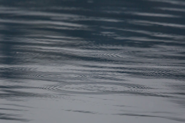 雨滴落在水面上，形成圆圈图片下载