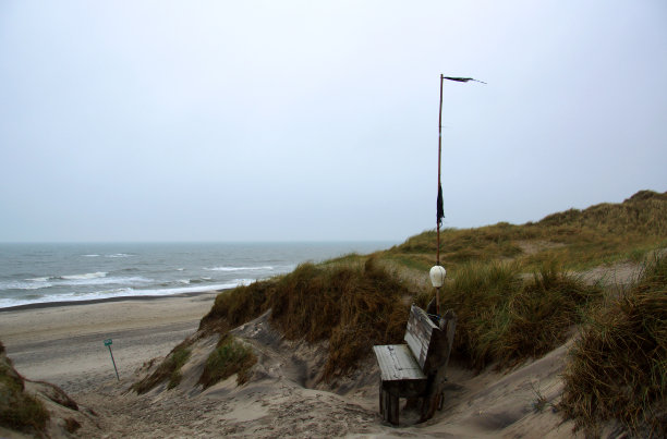 丹麦的沙丘图片下载