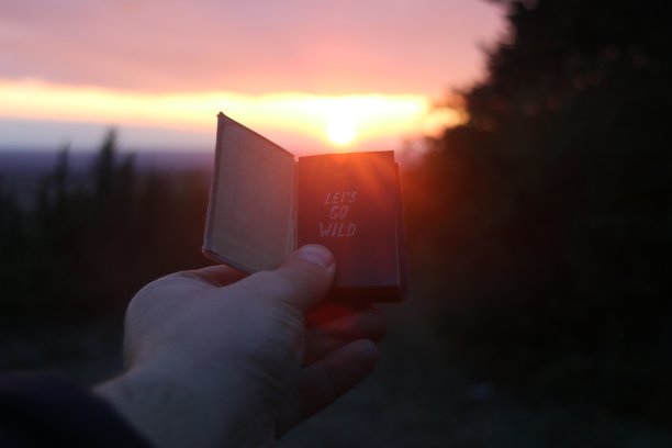 让我们一起去狂野题词，旅行想法。日落时分带文字的书。模糊的背景照片。图片下载