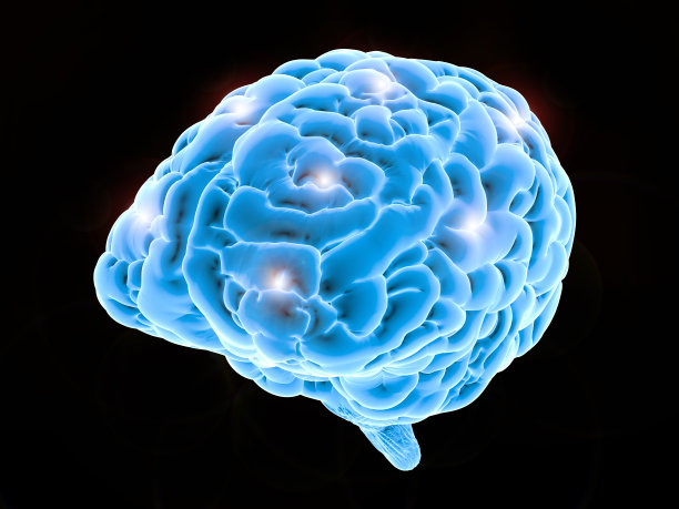 脑力的概念素材图片