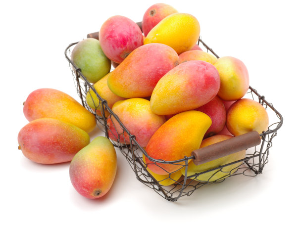 白色背景上的芒果图片下载