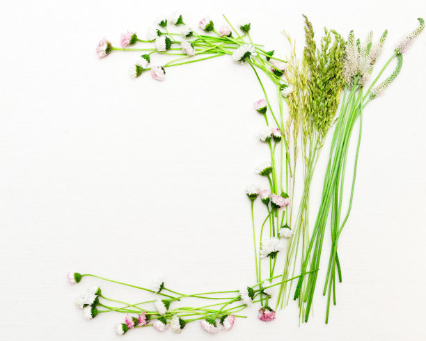 雏菊花环和绿色的草地在白色的背景。平的。图片下载