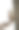 有趣的松鼠在树干上白色孤立的背景图片下载