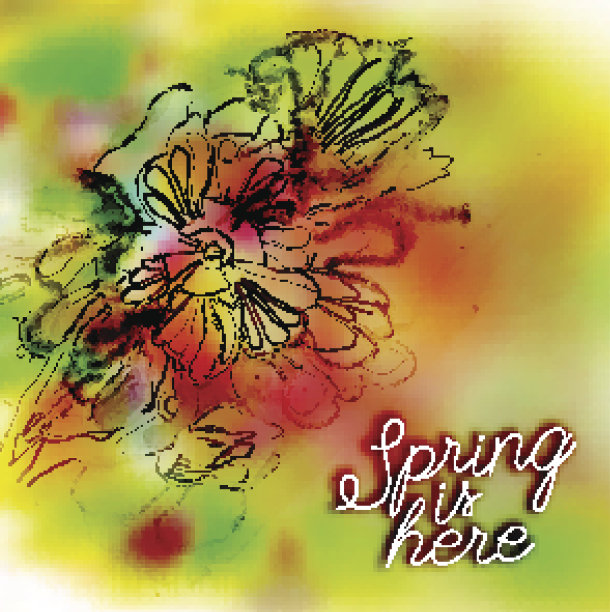 彩色背景下的花朵图片下载