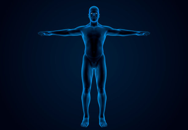 人体x光图片下载