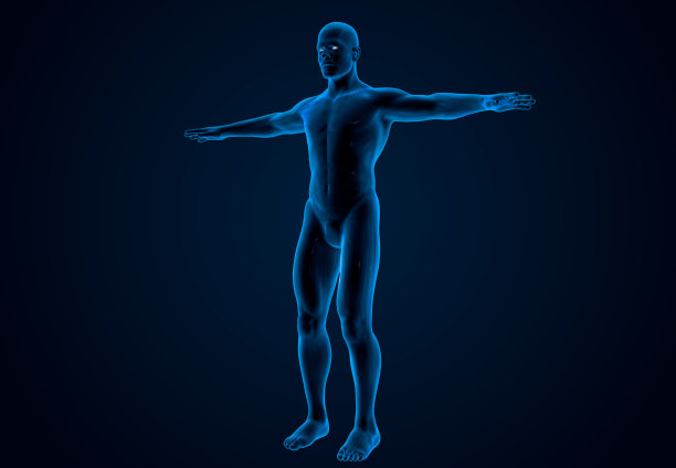 人体x光素材图片