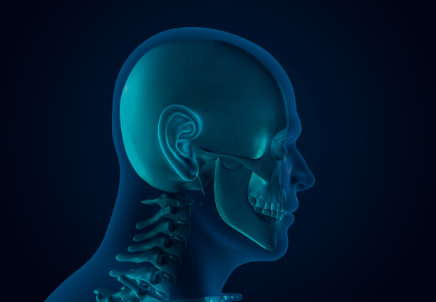 x射线人体骨骼系统图片下载