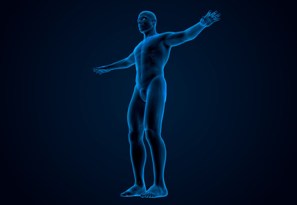 人体x光图片下载