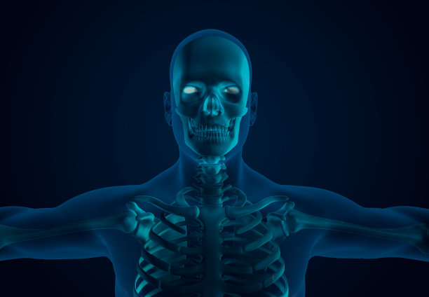 x射线人体骨骼系统图片下载