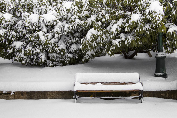 伊斯坦布尔的Gezi公园图片下载