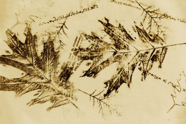 印刷在织物上。嗨决议。图片下载