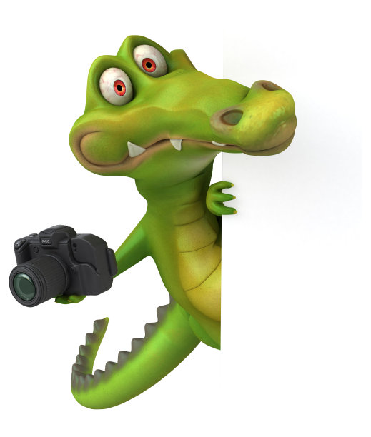 有趣的鳄鱼图片下载