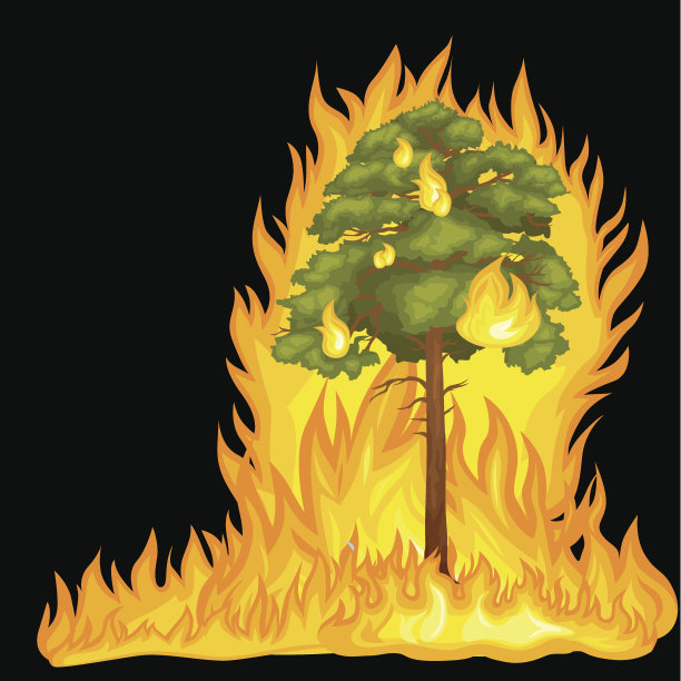 森林火灾，在景观破坏，自然生态灾害，热燃烧图片下载