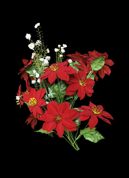 红色的人造花束花孤立在黑色上图片下载