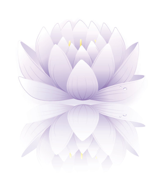 蓝莲花图片下载